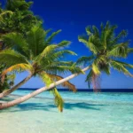 ¿Dónde alojarse en Maldivas? Las 6 mejores islas y alojamientos 🏝️