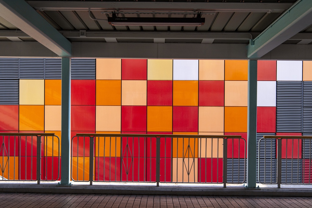 ¿Dónde alojarse en Hong Kong? Las 6 mejores zonas y buenos hoteles 14 Ambiente nocturno en Mong Kok en Hong Kong