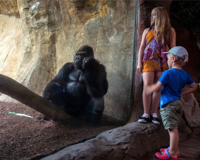 Bioparc Fuengirola en la Costa del Sol