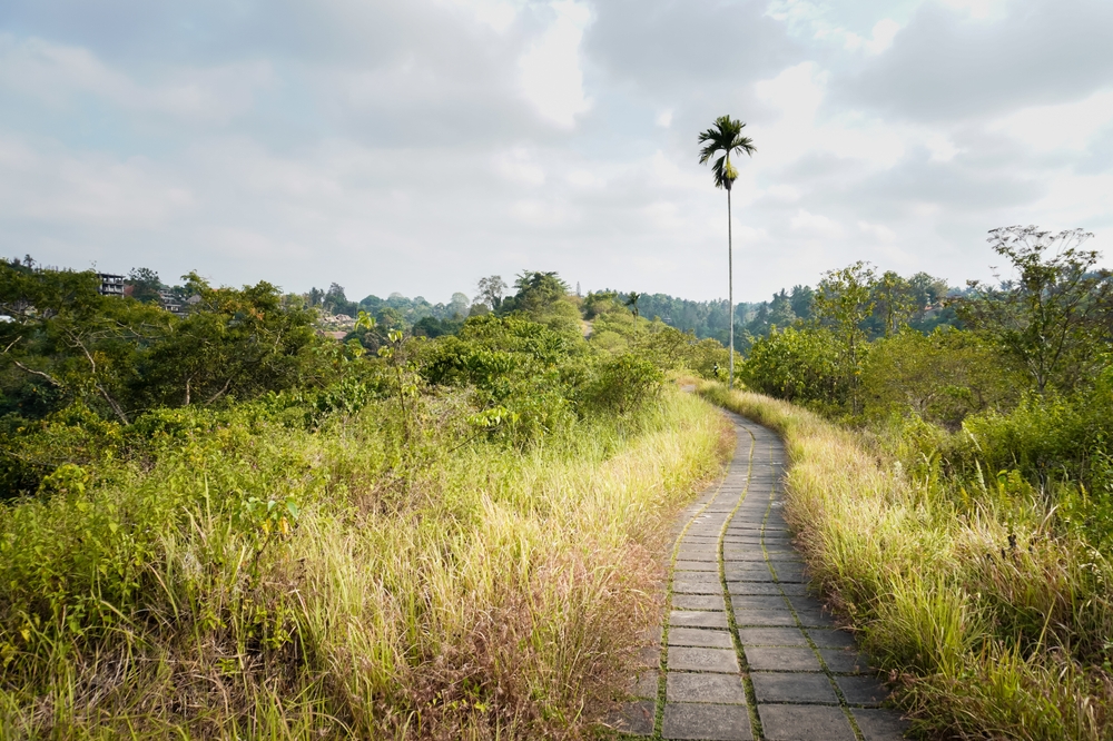 Campuhan Ridge Walk cerca de Ubud al sol de la mañana