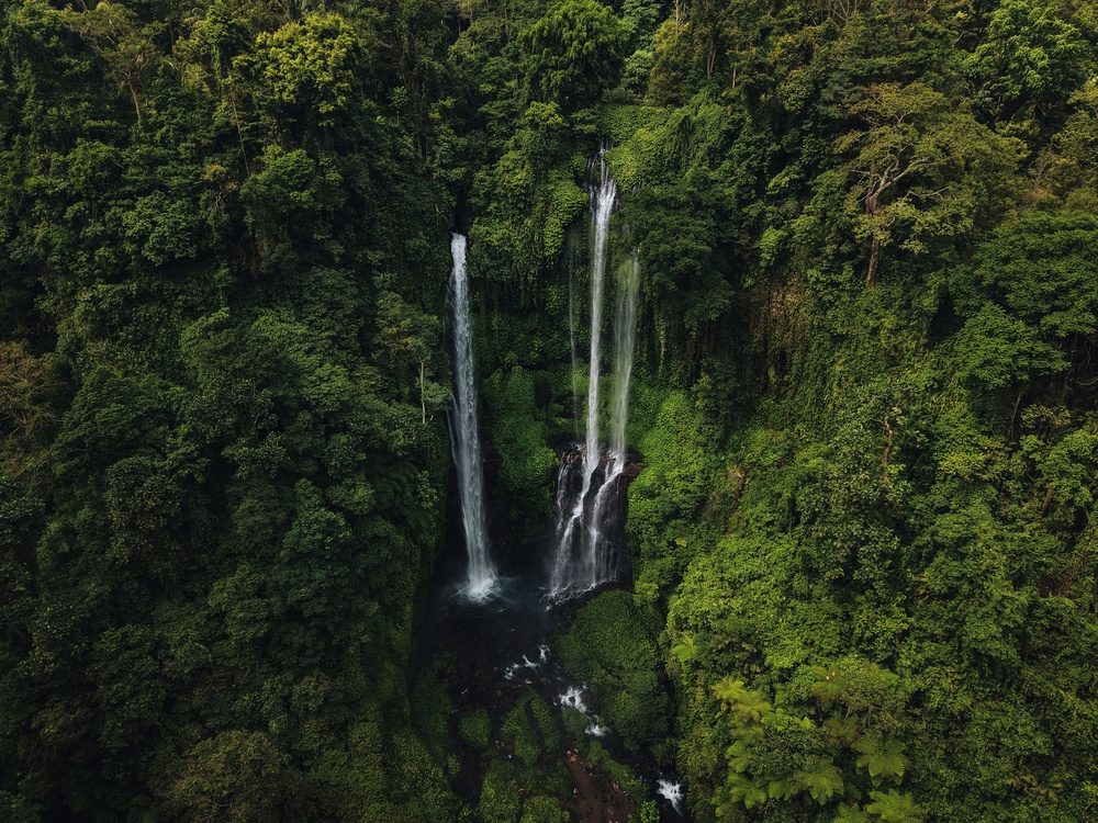 Cascadas de Sekumpul en la selva del norte de Bali