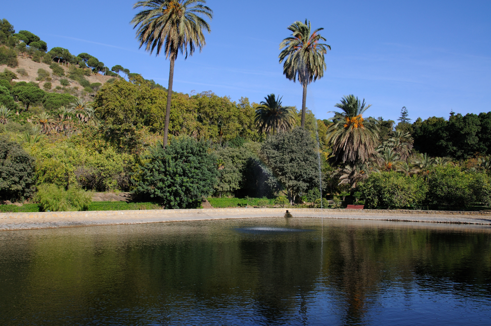 El lago del Jardín Botánico La Concepción en Málaga