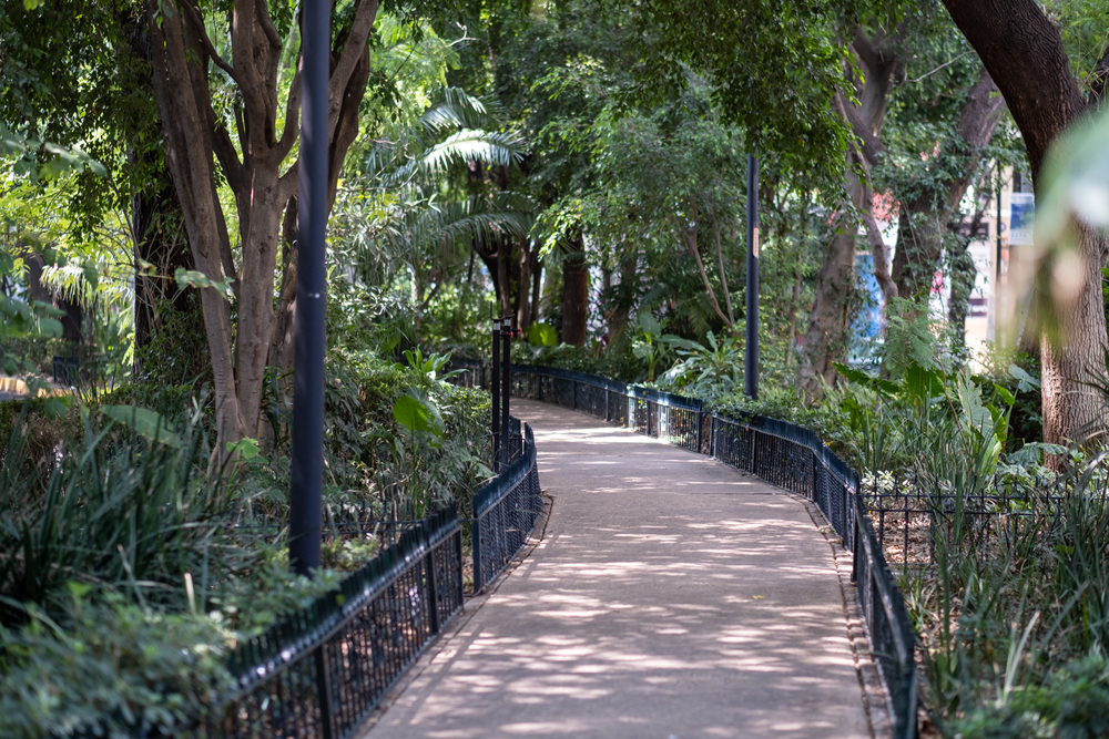 ¿Dónde alojarse en Ciudad de México? Las 6 mejores zonas y buenos hoteles 10 El paseo central arbolado de la avenida Ámsterdam en la Condesa de Ciudad de México