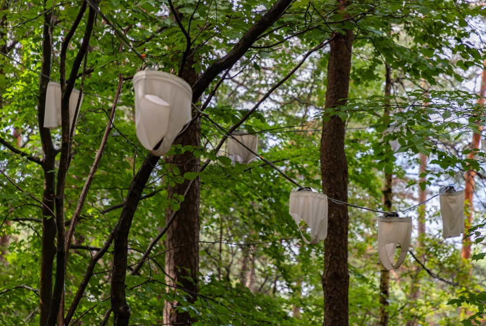 La escultura Nordic Hiplights de Pipilotti Rist en Ekebergparken, Oslo