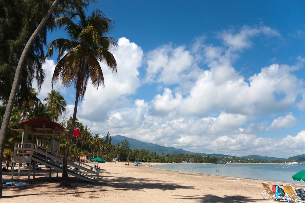 Palmeras junto a la playa de Luquillo en Puerto Rico