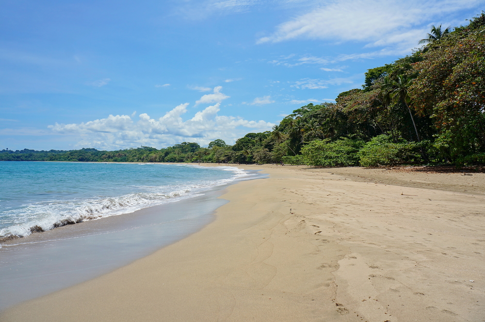 ¿Dónde alojarse en Costa Rica? Las 7 mejores zonas y buenos hoteles 16 Playa Cocles cerca de Puerto Viejo en la costa caribeña de Costa Rica