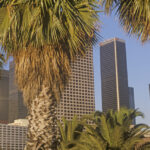 Qué hacer en Los Ángeles: las 19 mejores cosas que ver