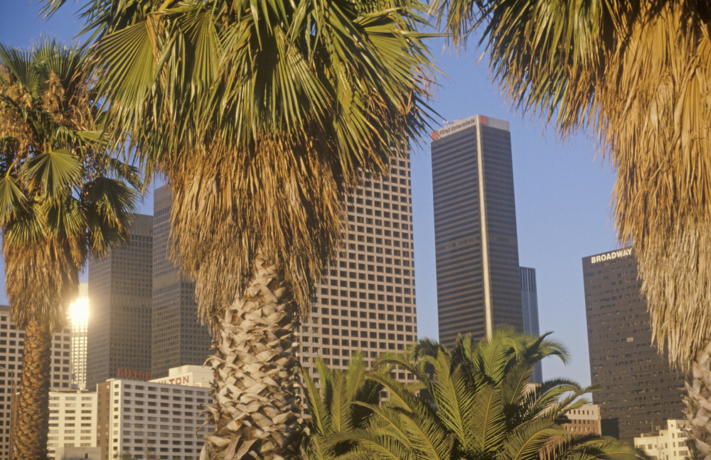 El Downtown de Los Ángeles visto entre palmeras