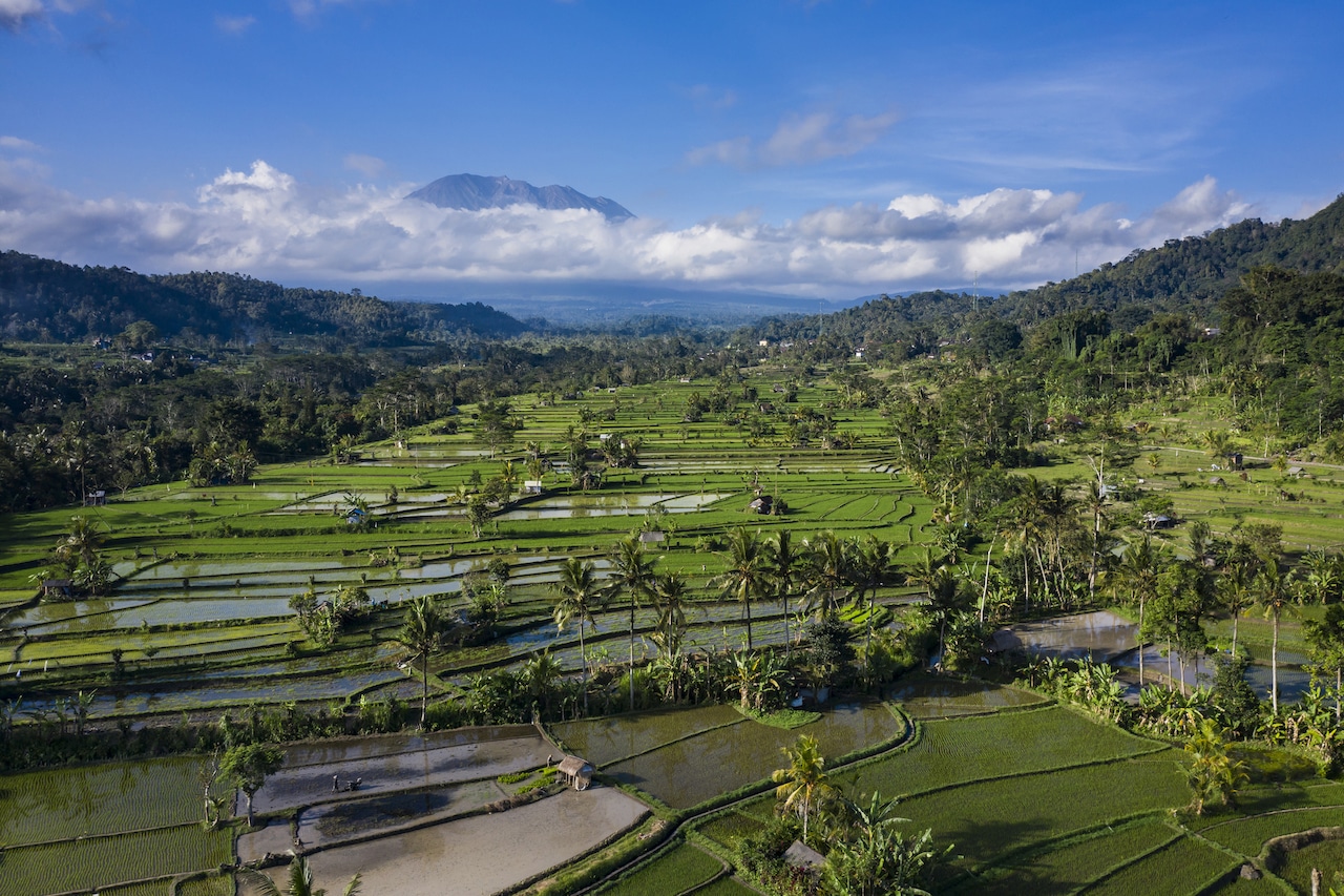Del aeropuerto de Bali a Seminyak, Canggu y Ubud - guía de transporte 18 Sidemen, en Bali