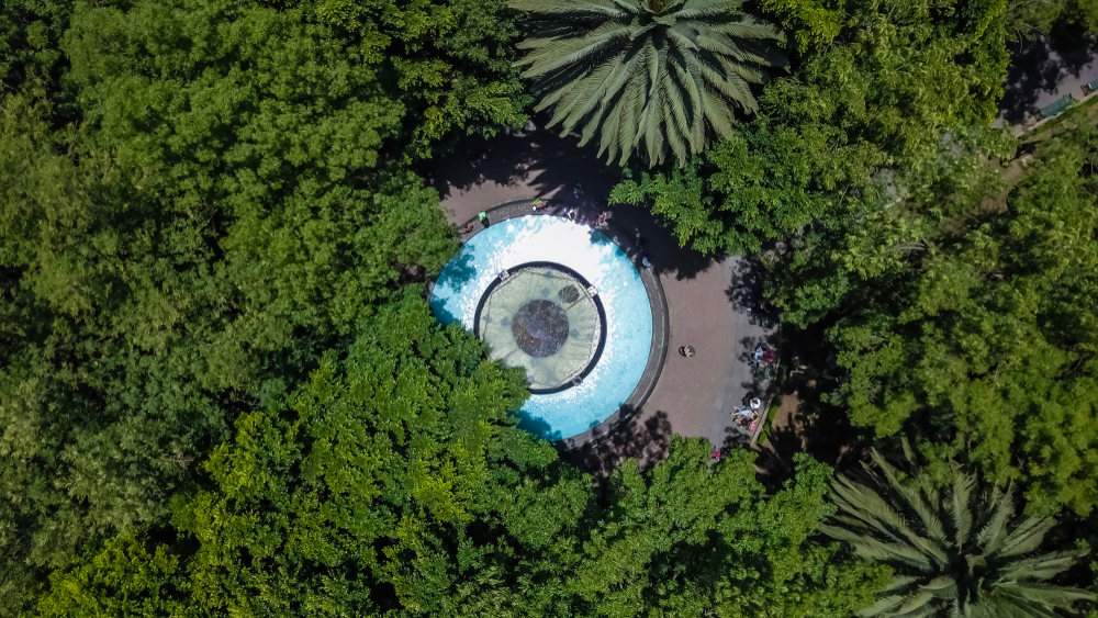 ¿Dónde alojarse en Ciudad de México? Las 6 mejores zonas y buenos hoteles 14 Vista aérea de la iglesia y el parque de Coyoacán en Ciudad de México