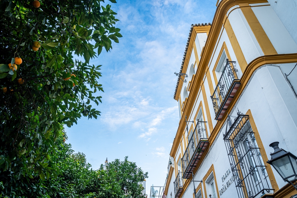 Qué ver en Sevilla: las 17 mejores cosas que hacer 24 Una calle del Barrio de Santa Cruz, la antigua judería de Sevilla