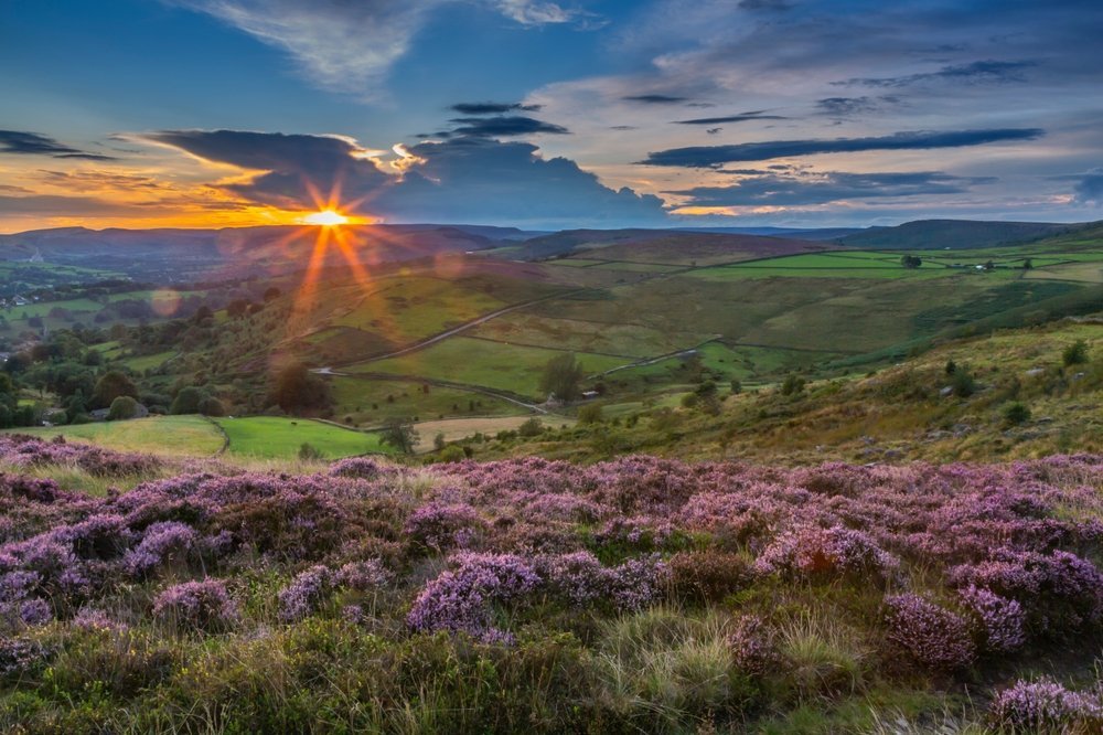 ¿Dónde alojarse en el Peak District? Los 6 mejores pueblos y buenos hoteles 11 Brezo en flor en Stanage Edge con vistas al Hope Valley junto a Hathersage