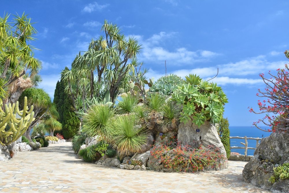 ¿Dónde alojarse en Mónaco? Las 6 mejores zonas y buenos hoteles 14 Cactus en el Jardin Exotique con vistas a Mónaco