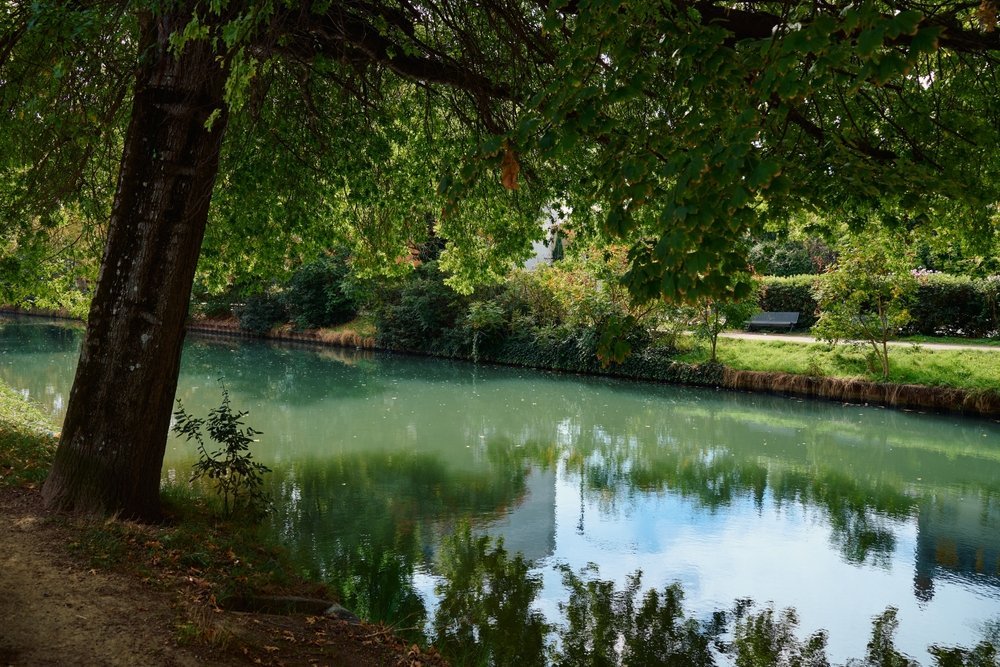 ¿Dónde alojarse en Toulouse? Las 5 mejores zonas y buenos hoteles 11 Canal du Midi con plátanos que se reflejan en el agua en Toulouse