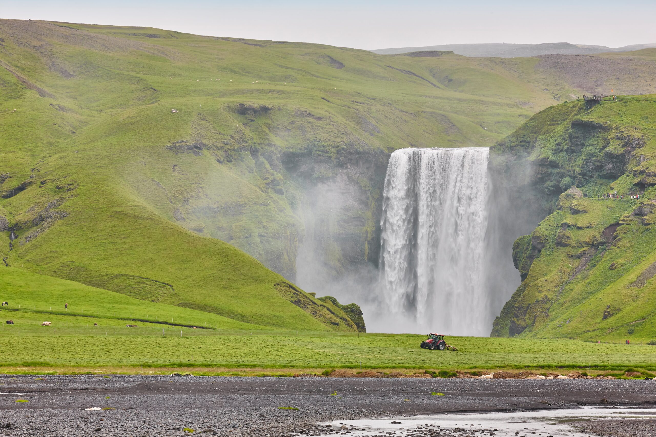 Qué ver en Islandia: las 18 mejores cosas que hacer 27 Skógafoss rodeada de hierba verde