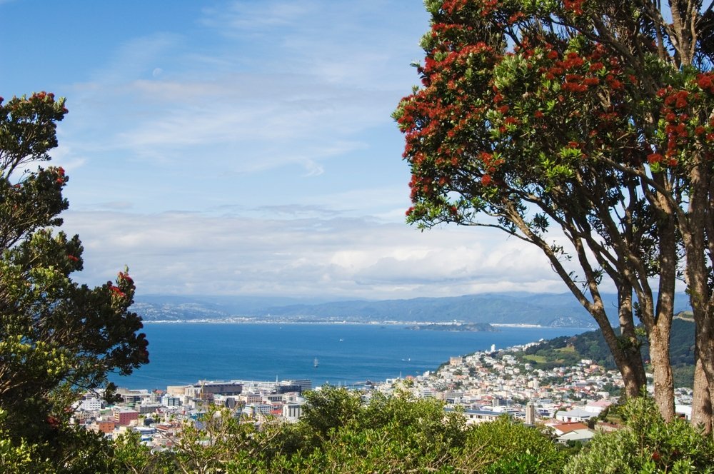 El centro de Wellington y el puerto vistos desde Oriental Bay