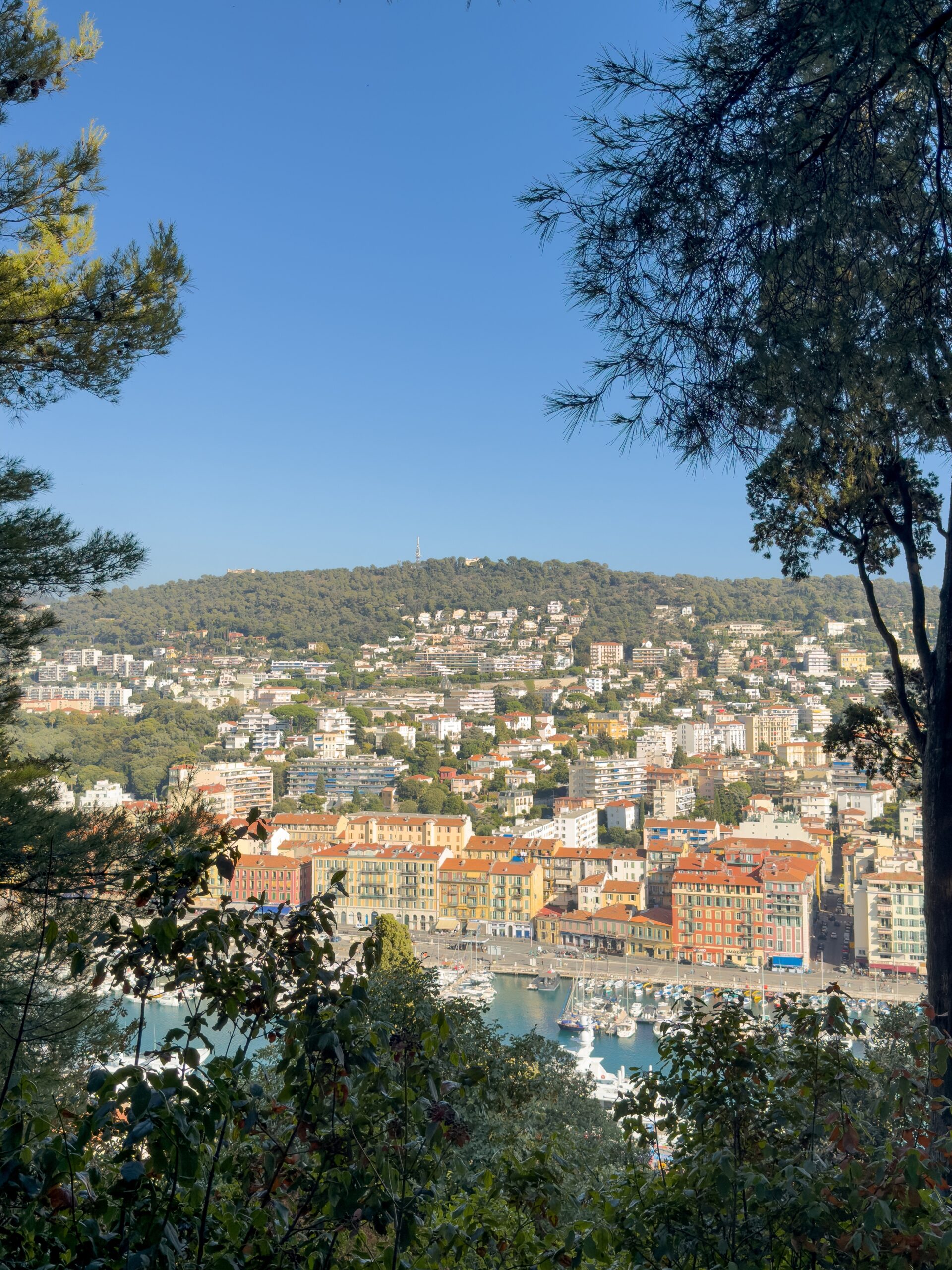 Qué ver en Niza: las 17 mejores cosas que hacer 23 Vista del casco antiguo desde la Colline du Château, en Niza