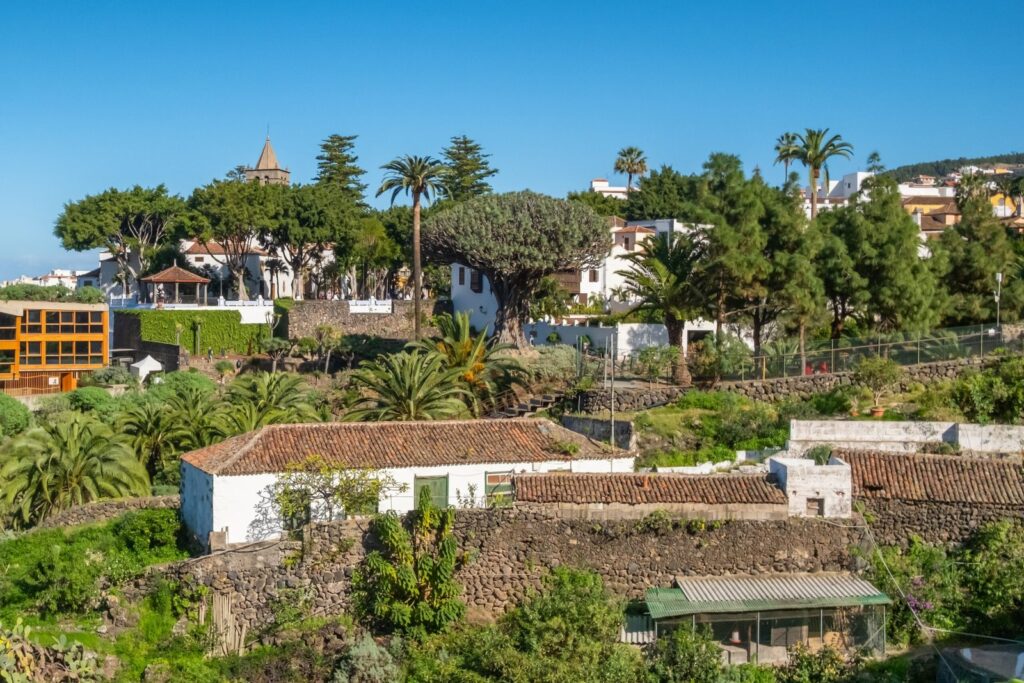 Qué ver en Tenerife: las 18 mejores cosas que hacer 34 El Drago Milenario de Icod de los Vinos con el Teide detrás