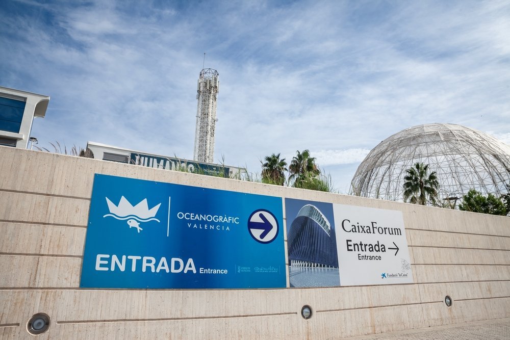 Qué ver en Valencia: 17 cosas que hacer, de la Ciudad de las Artes a la paella en la Albufera 19 Entrada al Oceanogràfic