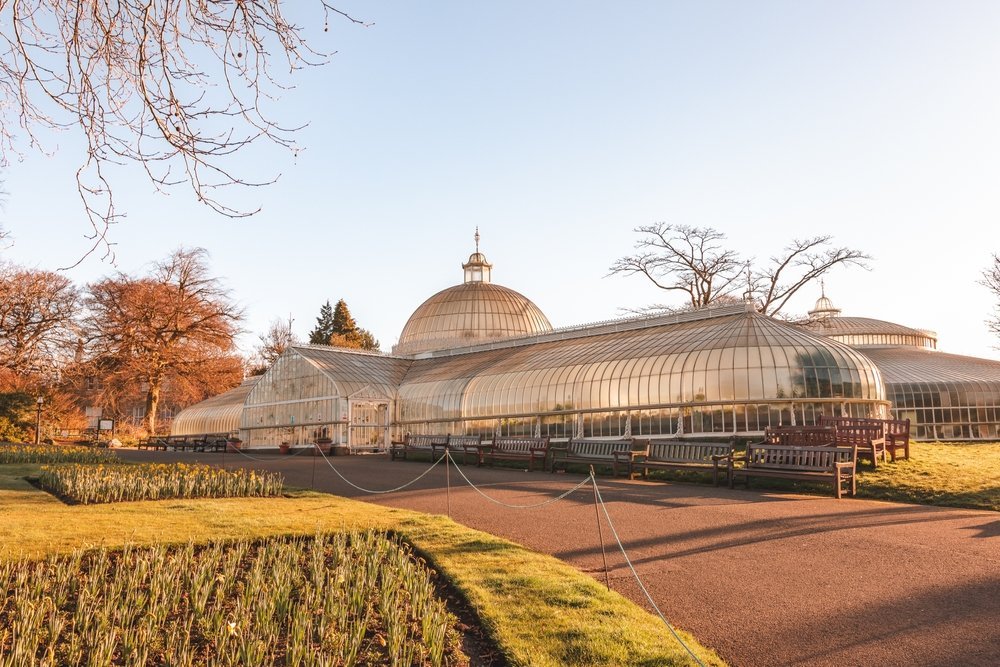 Qué ver en Glasgow - 18 cosas que hacer, y la mayoría no cuestan nada 28 El invernadero Kibble Palace en los Glasgow Botanic Gardens