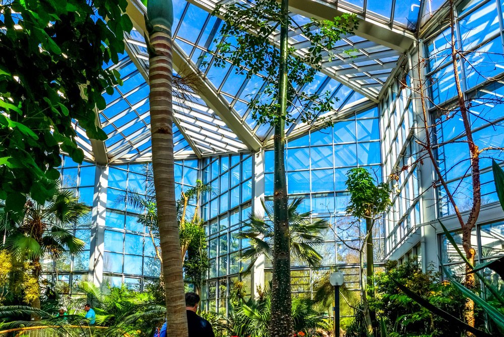 Qué ver en Fráncfort: 18 cosas que vivir entre los rascacielos y las tabernas de sidra 34 El jardín botánico Palmengarten en Frankfurt