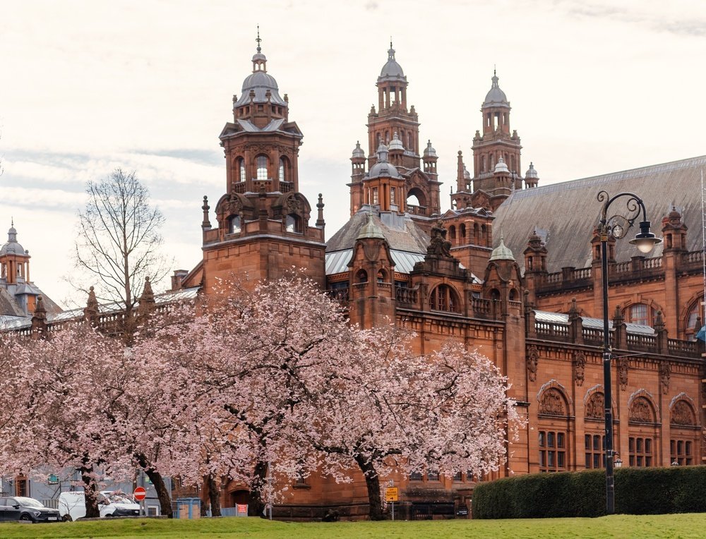 Qué ver en Glasgow - 18 cosas que hacer, y la mayoría no cuestan nada 18 Kelvingrove Art Gallery and Museum de arenisca roja entre cerezos en Glasgow