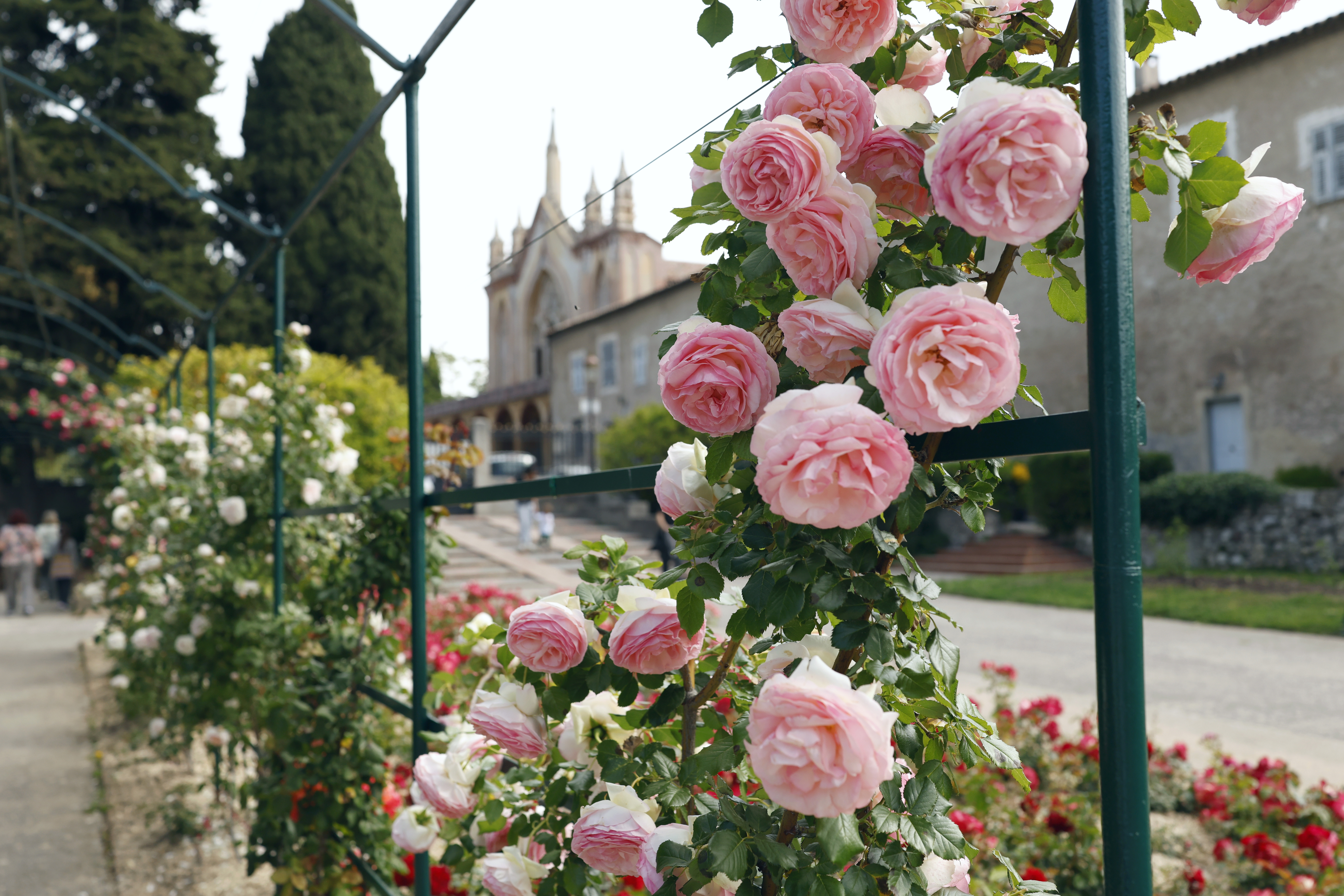 Qué ver en Niza: las 17 mejores cosas que hacer 28 Rosas y los edificios del monasterio de Cimiez, en Niza