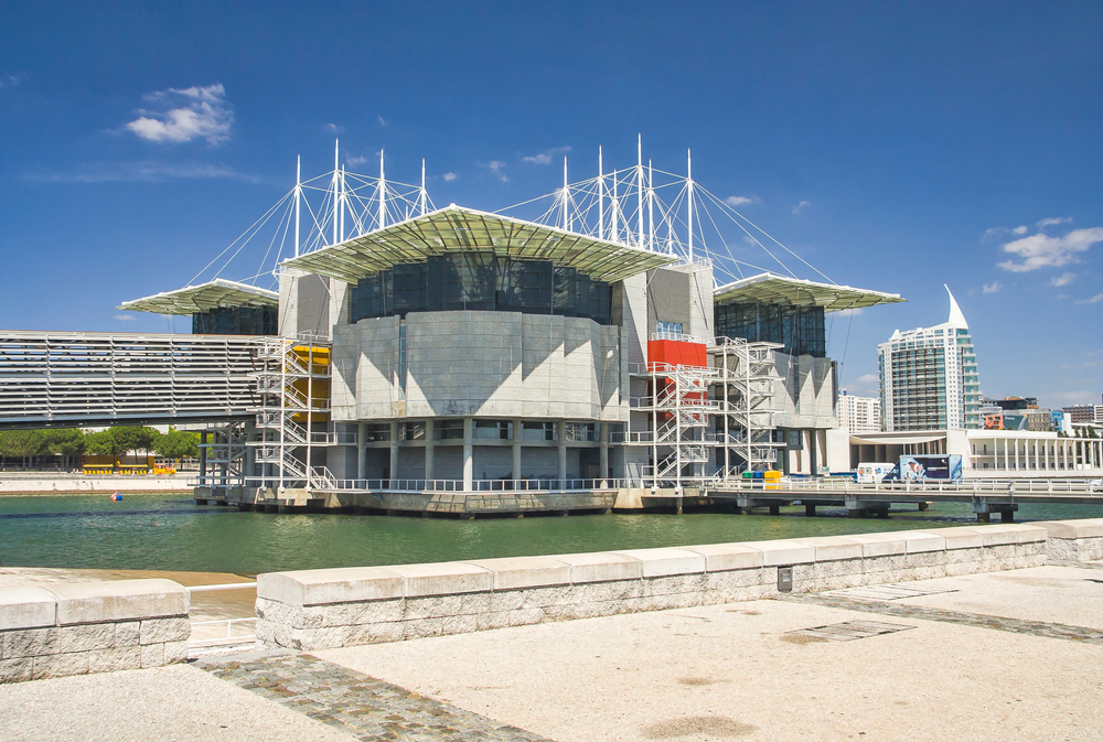 Qué ver en Lisboa: las 20 mejores cosas que hacer 39 Oceanário de Lisboa en el Parque das Nações