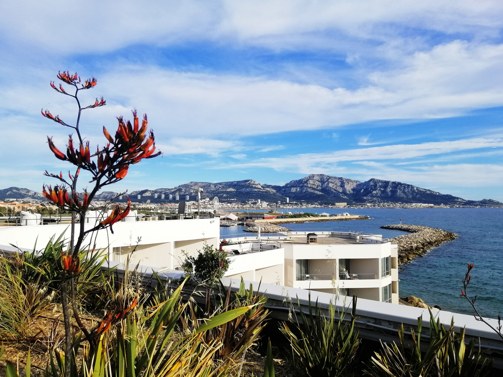 ¿Dónde alojarse en Marsella? Las 6 mejores zonas y buenos hoteles 14 El Parc du Prado junto al mar, en Marsella