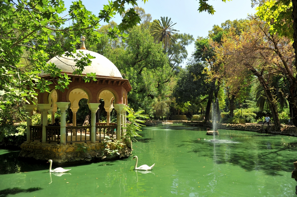 Qué ver en Sevilla: las 17 mejores cosas que hacer 23 Cisnes en el estanque junto al pabellón del Parque de María Luisa de Sevilla