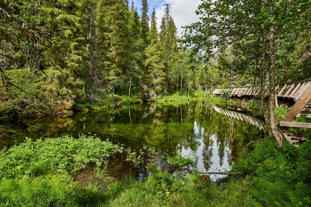 ¿Dónde alojarse en Laponia? Los 6 mejores pueblos y buenos hoteles 14 Naturaleza en el Parque Nacional de Pyhä-Luosto, cerca de Luosto, en Laponia