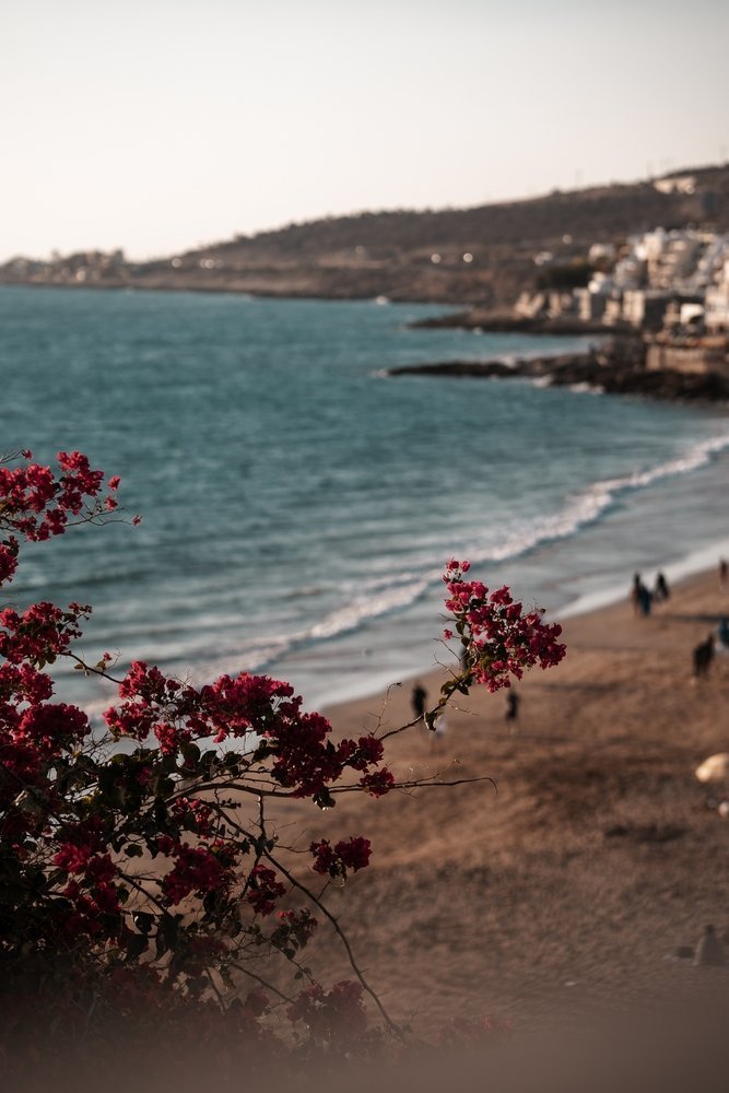 ¿Dónde alojarse en Marruecos? Las 7 mejores zonas y buenos hoteles 16 La playa y las casas del pueblo surfero de Taghazout, al norte de Agadir