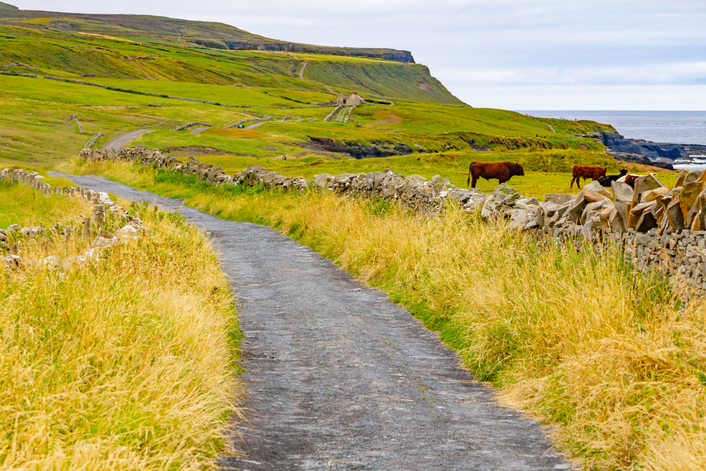 ¿Dónde alojarse en Irlanda? Los 6 mejores pueblos y ciudades y buenos hoteles 11 El pueblo de Doolin con casas y campos en el condado de Clare