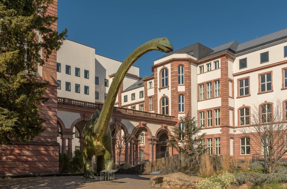 Qué ver en Fráncfort: 18 cosas que vivir entre los rascacielos y las tabernas de sidra 35 El Senckenberg Naturmuseum en Senckenberganlage, Frankfurt