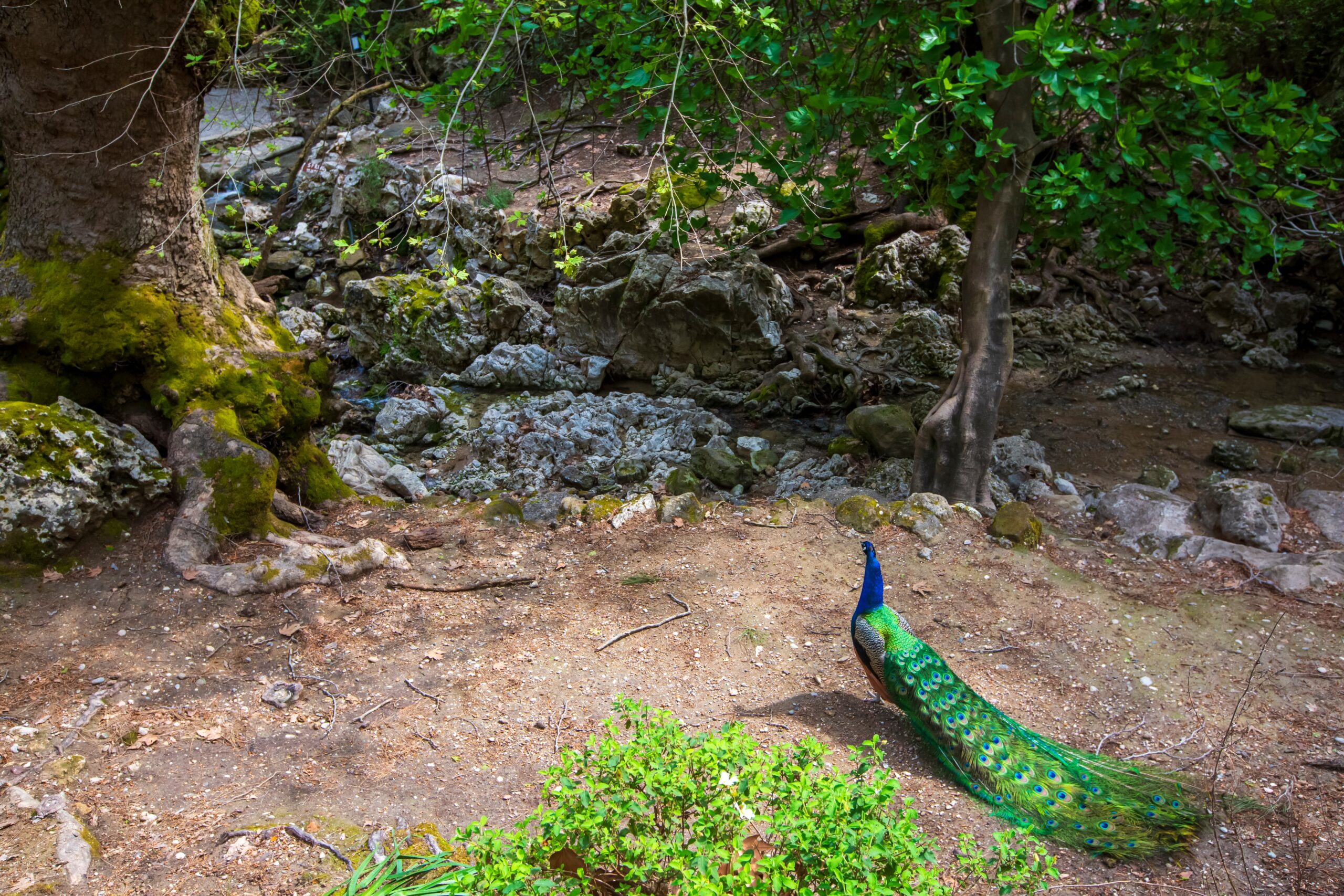 Qué ver en Rodas: las 18 mejores cosas que hacer 33 Seven Springs en Rodas