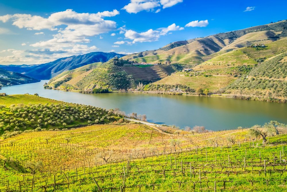 Terrazas de viñedos junto al río en el valle del Duero, Portugal