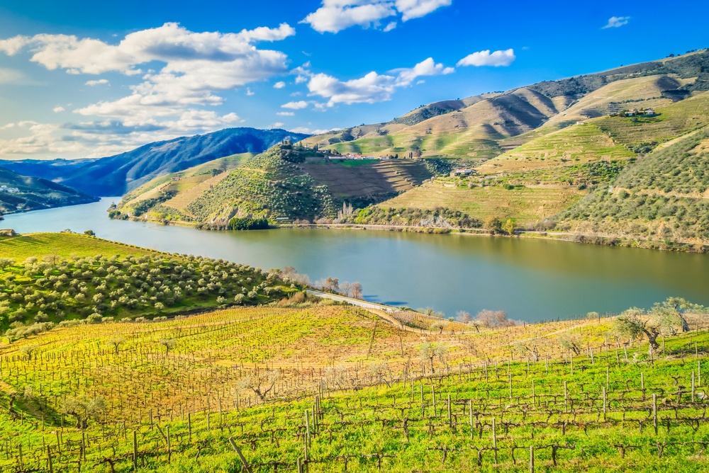 Qué ver en Oporto: las 17 mejores cosas que hacer 33 Viñedos en terrazas junto al río en el valle del Duero, en Portugal